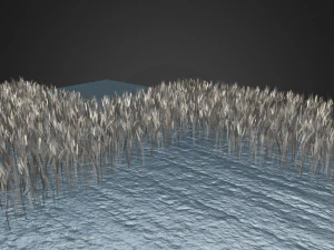 wheat field 3D Model