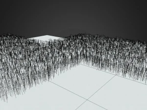 wheat field 3D Model
