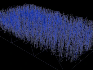 wheat field 3D Model