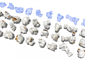 popcorn buckets 3D Model