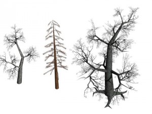 3 dead trees Model 3D