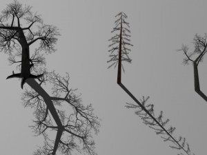 3 dead trees Modello 3D