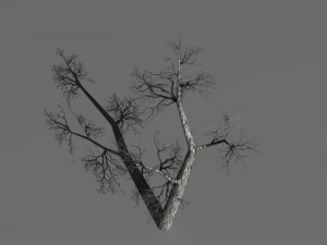 3 dead trees Modello 3D