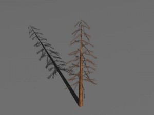 3 dead trees Modello 3D