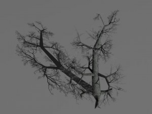 3 dead trees Modello 3D