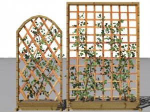 2 ivy trellis walls 3D 모델