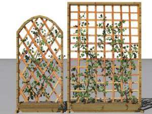 2 आइवी सलाखें दीवारें 3D मॉडल