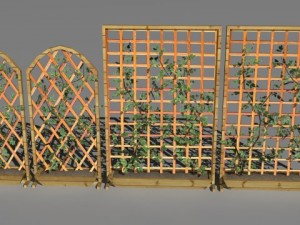 2 ivy trellis walls 3D Модель