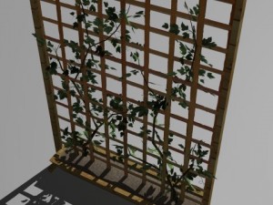 2 ivy trellis walls 3D Модель