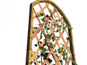 2 ivy trellis walls 3D Модель