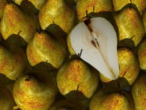 fruit collection 3D मॉडल