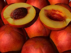 fruit collection 3D मॉडल