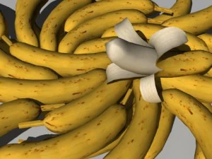 fruit collection 3D Model