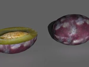 fruit collection 3D Model