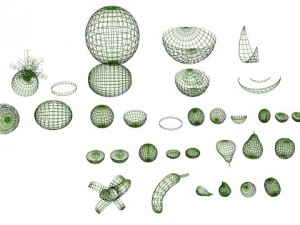 fruit collection 3D मॉडल