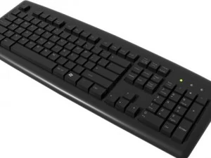 keyboard  mouse 3D Model