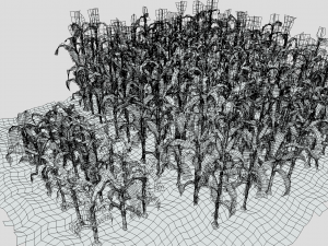 Corn field Modelo 3D