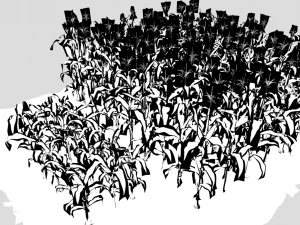 Corn field 3D Model