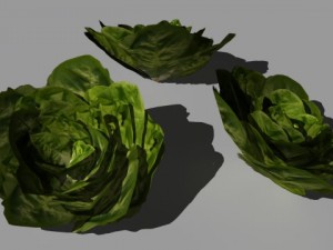 vegetables 3D-Modell