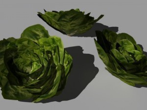 fruit and vegetables collection 3D Model