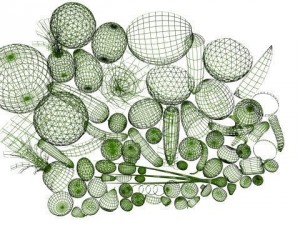 fruit and vegetables collection 3D Model