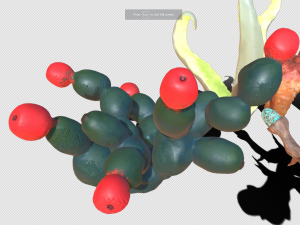 alien plants vol 2 3D Model