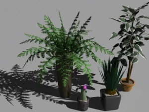 plantas decorativas Modelo 3D