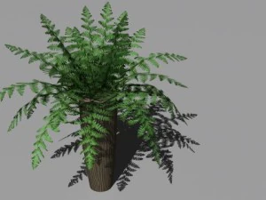 decorative plants 3D Model