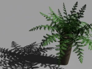 decorative plants 3D Model