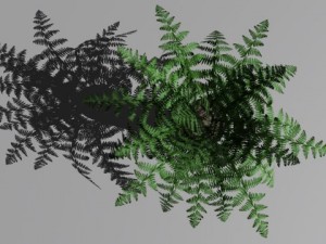 decorative plants 3Dモデル