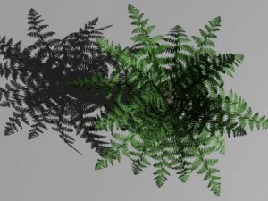 decorative plants 3D Model