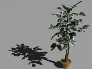 decorative plants 3D Model