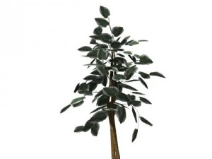 decorative plants 3D Model