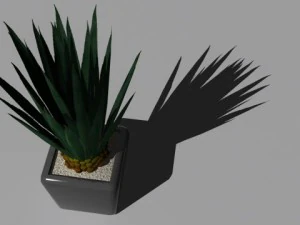 decorative plants 3D Model