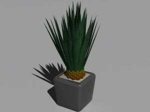 decorative plants 3D Model