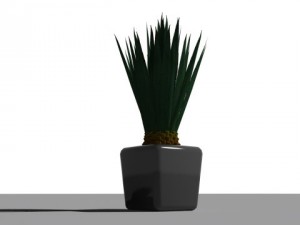 decorative plants 3Dモデル