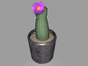decorative plants 3D Model