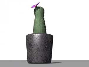 decorative plants 3D Model
