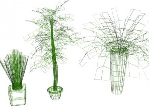 decorative plants 3Dモデル