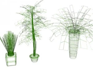 decorative plants 3D Model
