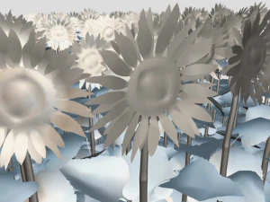 Sunflower plants 3D Model