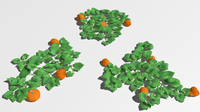 Pumpkin plantation 3D 模型 .c4d .max .obj .3ds .fbx .stl .blend 