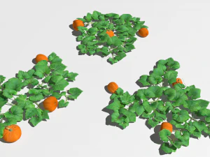Plantaci&oacute;n de calabazas Modelo 3D