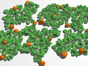 Pumpkin plantation 3D 模型