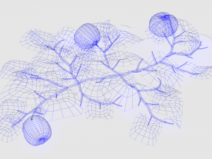 Pumpkin plantation 3D 模型