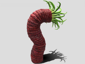 Beast tentacle 3D Модель