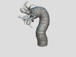Beast tentacle 3D Модель