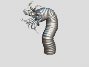 Beast tentacle 3D Модель