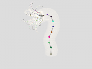 Beast tentacle 3D Модель