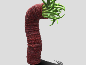 Beast tentacle 3D Модель
